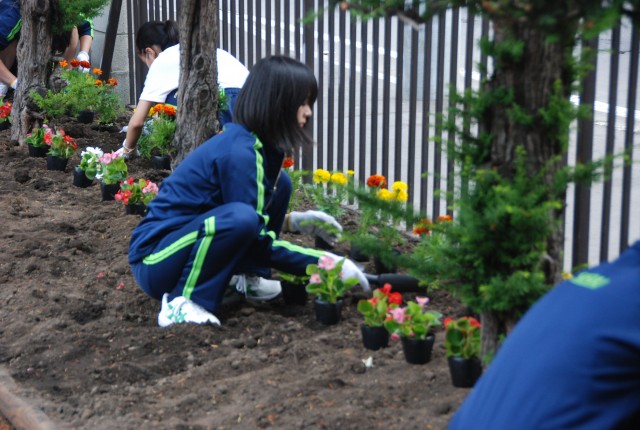 生徒会美化委員による、心和ます花壇づくり。