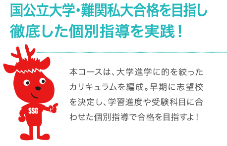 国公立大学・難関私大合格を目指し徹底した個別指導を実践！本コースは、大学進学に的を絞ったカリキュラムを編成。早期に志望校を決定し、学習進度や受験科目に合わせた個別指導で合格を目指すよ！